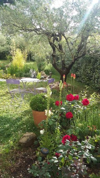 Le Temps Des Cerises. Villa Vinsobres Kültér fotó